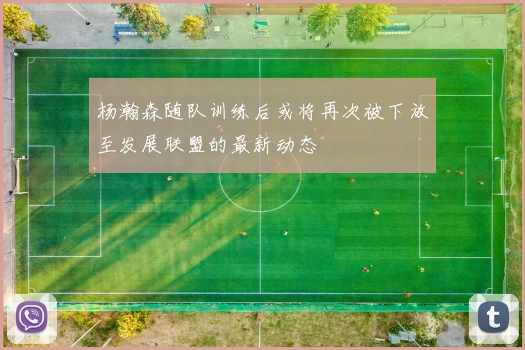 杨瀚森随队训练后或将再次被下放至发展联盟的最新动态